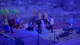 Қарағандыда ауладағы жанжал: балаға күш қолданылған видео тарады