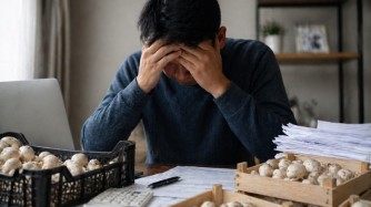 «Айына миллион табасың»: Англияға жұмысқа жіберемін деген әйел 10 адамды алдап кетті