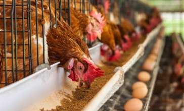 Битвы за сельхозсубсидии