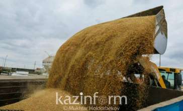 哈萨克斯坦小麦过境连云港开辟至东南亚第二通道