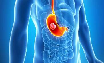 Асқазан туралы қазақша: қызметі мен құрылысы