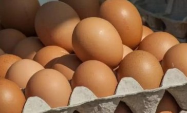 Қазақстан жұмыртқа импортын бір айға тоқтатты