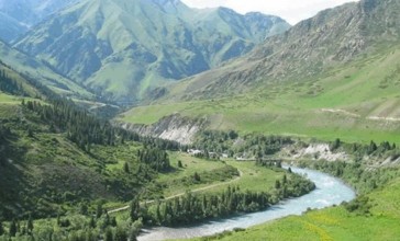 Жетісу ұлттық паркі аумағында олигарх жеке үй салған: әкім тексеріс жүргізілетінін айтты