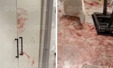 Алматыдағы қанға боялған пәтер: полиция түсініктеме берді