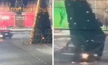 Түркістан облысында жүргізуші бас шыршаны құлатып кетті