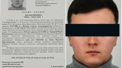 Қызылордададағы жантүршігерлік жол апаты: Күдіктіге қатысты тың дерек шықты