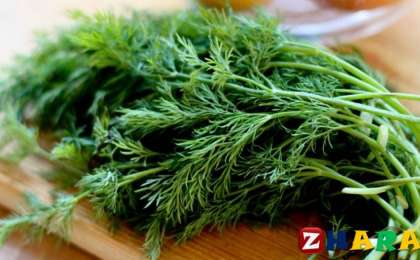 Аскөктің пайдалы қасиеттері