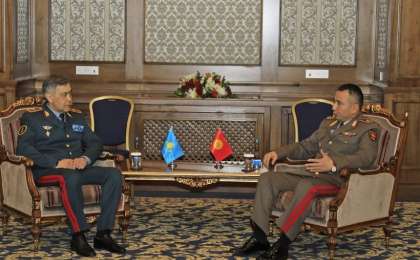 哈吉两国国防部长举行会晤