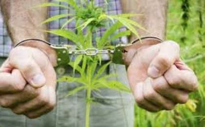 Талдықорғанда есірткі сатушы қолға түсті