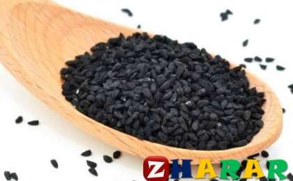 50 түрлі дертке дауа болатын ерекше өсімдік