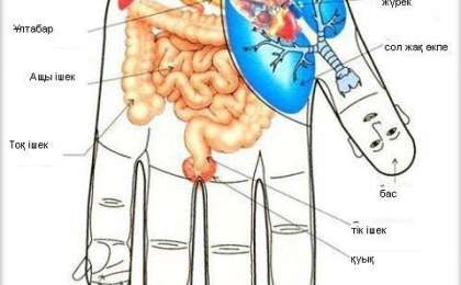 АЛАҚАНЫМЫЗҒА НҮКТЕЛІК МАССАЖ ЖАСАЙЫК