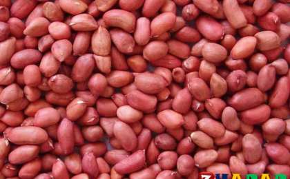 Жер жаңғағының жанға жайлылы қасиеттері