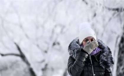 Сымдардың желдік ауытқуы слайд,презентация - Биология