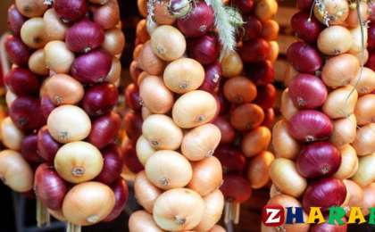 Денсаулыққа қатысты қызықты деректер