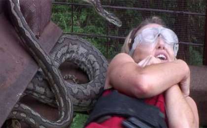 Телешоу жұлдыздарын улы жылан шағып ала жаздады