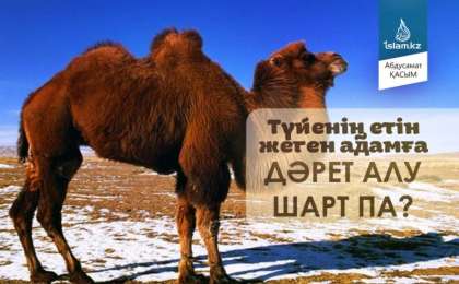 Түйенің етін жеген адамға дәрет алу шарт па?