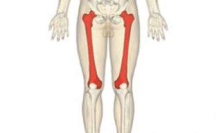 Үлкен ұршық сынығы. Кіші ұршық сынығы