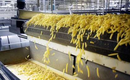 荷兰企业计划在哈萨克斯坦投资建厂