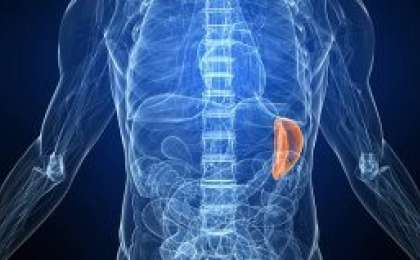 Ұйқы безінің қандағы және зәрдегі ферменттерін анықтау