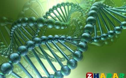 Сабақ жоспары жинағы
		Биологиядан жаңа формат бойынша тест тапсырмалары