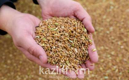 过去两年哈萨克斯坦向阿富汗出口粮食超130万吨