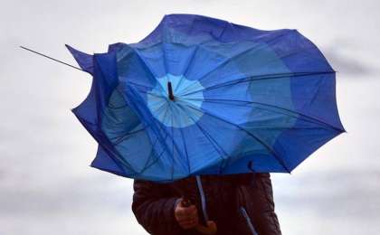 西哈州发布大风天气预警