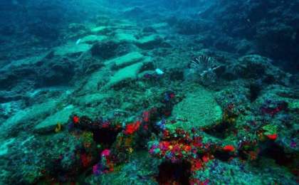 土耳其在地中海海域发现距今3600年的沉船残骸