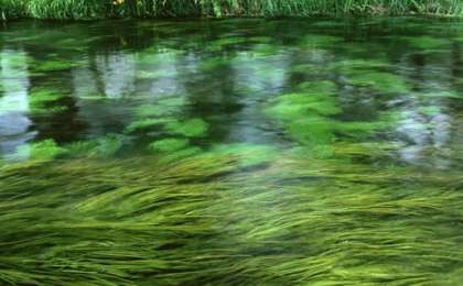Теңіз өнімдерін арттыруға қалай қол жеткізді