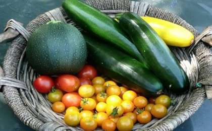 Ғалымдар қатерлі ісікті жоятын жемістер мен көкөністерді атады