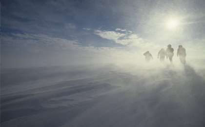 "Қатты айғайладық". ШҚО-да адасқан ауылдықтар қасқырға жем бола жаздады
