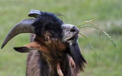 Метроға ешкімен кірген ер адам бүкіл жұртты әуре-сарсаңға салды