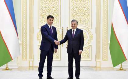 哈萨克斯坦大使向乌兹别克斯坦总统递交国书