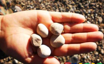 Ұлттық ойын: Бес тас