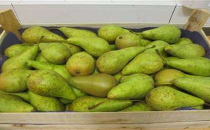 Ішінде ине толы екі қорап алмұрт табылды