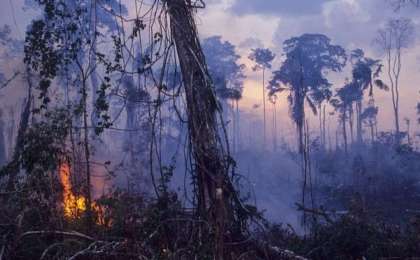 地球之肺在燃烧 亚马逊雨林大火创纪录