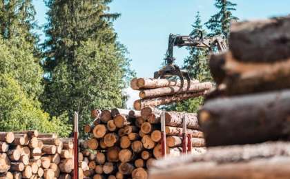 哈萨克斯坦将暂停出口部分木质材料