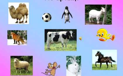 Қазақ тілінен сабақ жоспары: Төрт түлік туралы өлеңдер оқу (2 сынып, IV тоқсан ) » ZHARAR