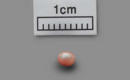 阿布扎比出土世界最古老珍珠 已有8000年历史