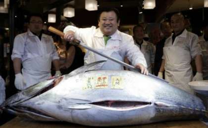 Токиода 3,1 миллион долларға балық сатылды