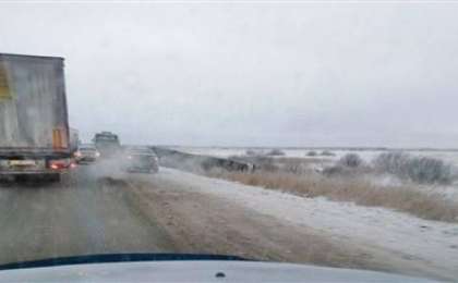 Қазақстандықтар отырған автобус Ресейде апатқа ұшырады