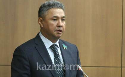 "光明之路"民主党主席谈非例行总统选举