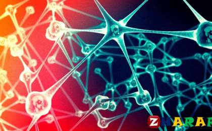 Реферат: Философия | Қайта өрлеу философиясы