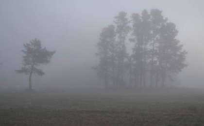 北哈州发布大风大雾气象预警