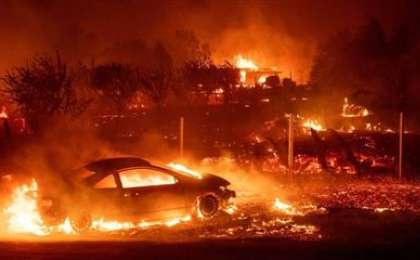 Орман өртеніп, 25 адам қаза тапты