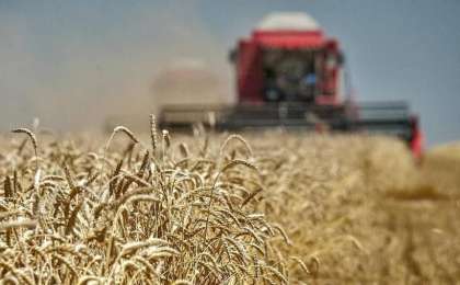 库斯塔奈州完成秋季粮食收割工作