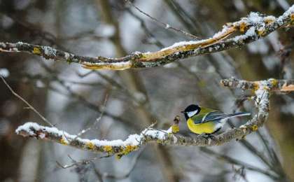 12 қарашада қандай оқиға болды: мереке күндері, тарихи оқиғалар
