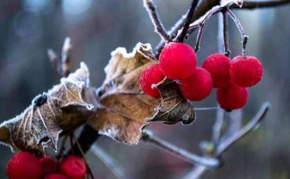 国内三州发布天气预警