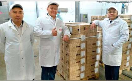 阿特劳州对华出口首批冷冻牛肉发货