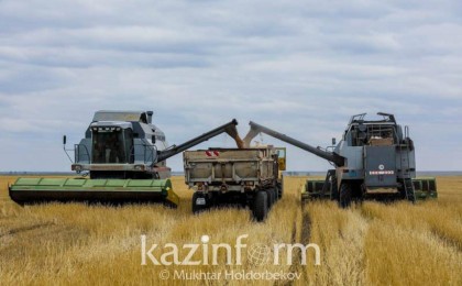 北哈州粮食收割工作即将结束