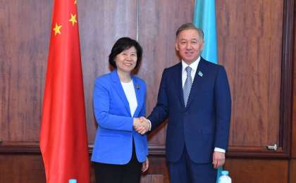 尼格马图林会见中国全国人大常委会副委员长沈跃跃